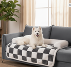 White dog on a checkered pet bed in a living room