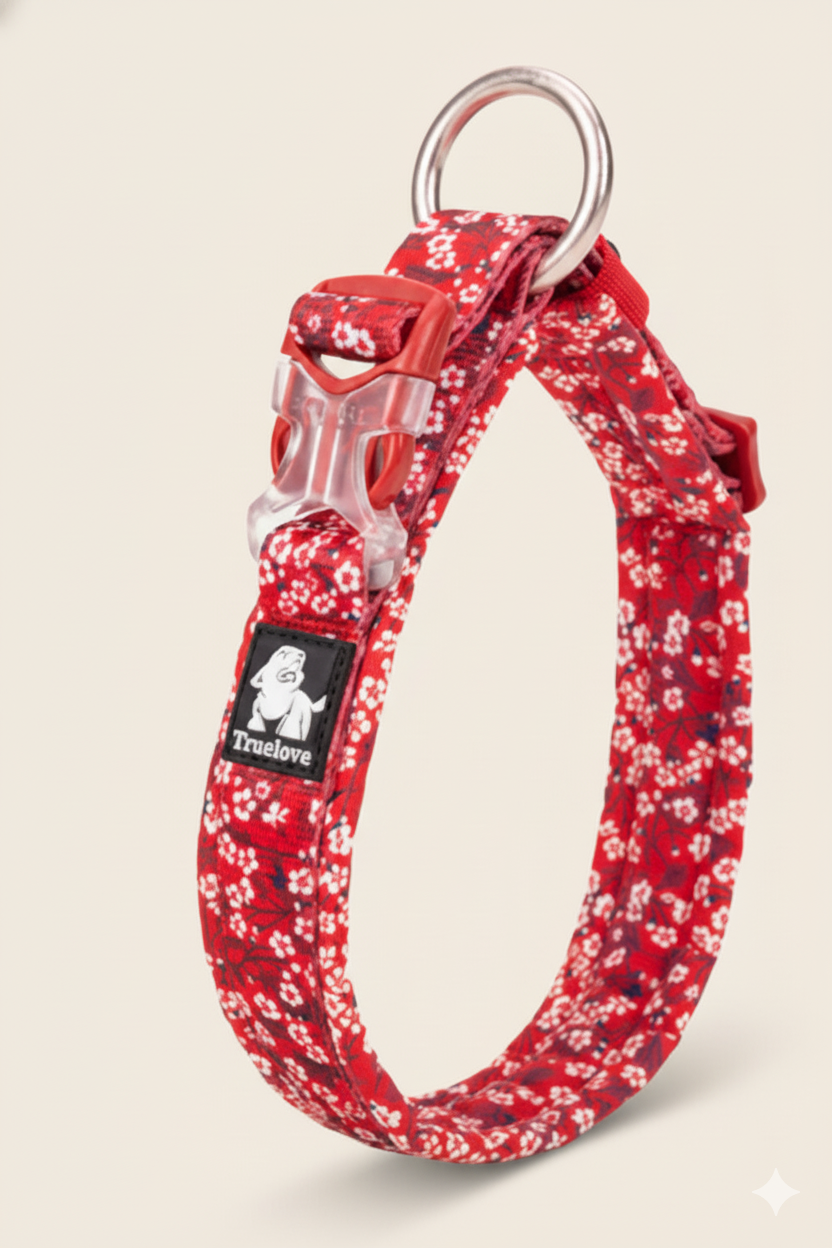 Red floral-patterned dog collar with a brand label on a white background