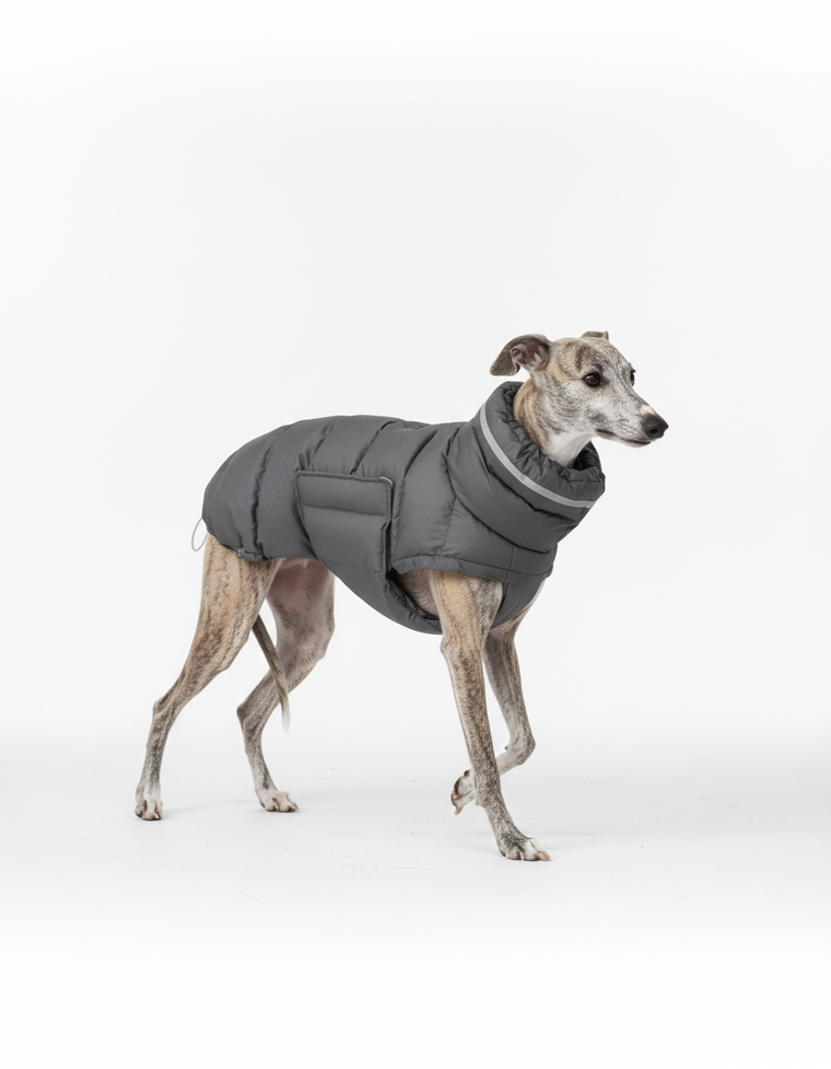 Thermal Dog Vest – Recycled Cotton Winter Coat for Small to Large Dogs