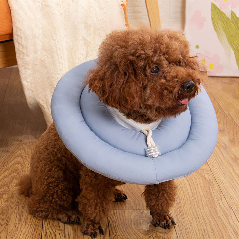 Elizabethan Recovery Cone – Adjustable Collar for Cats and Dogs