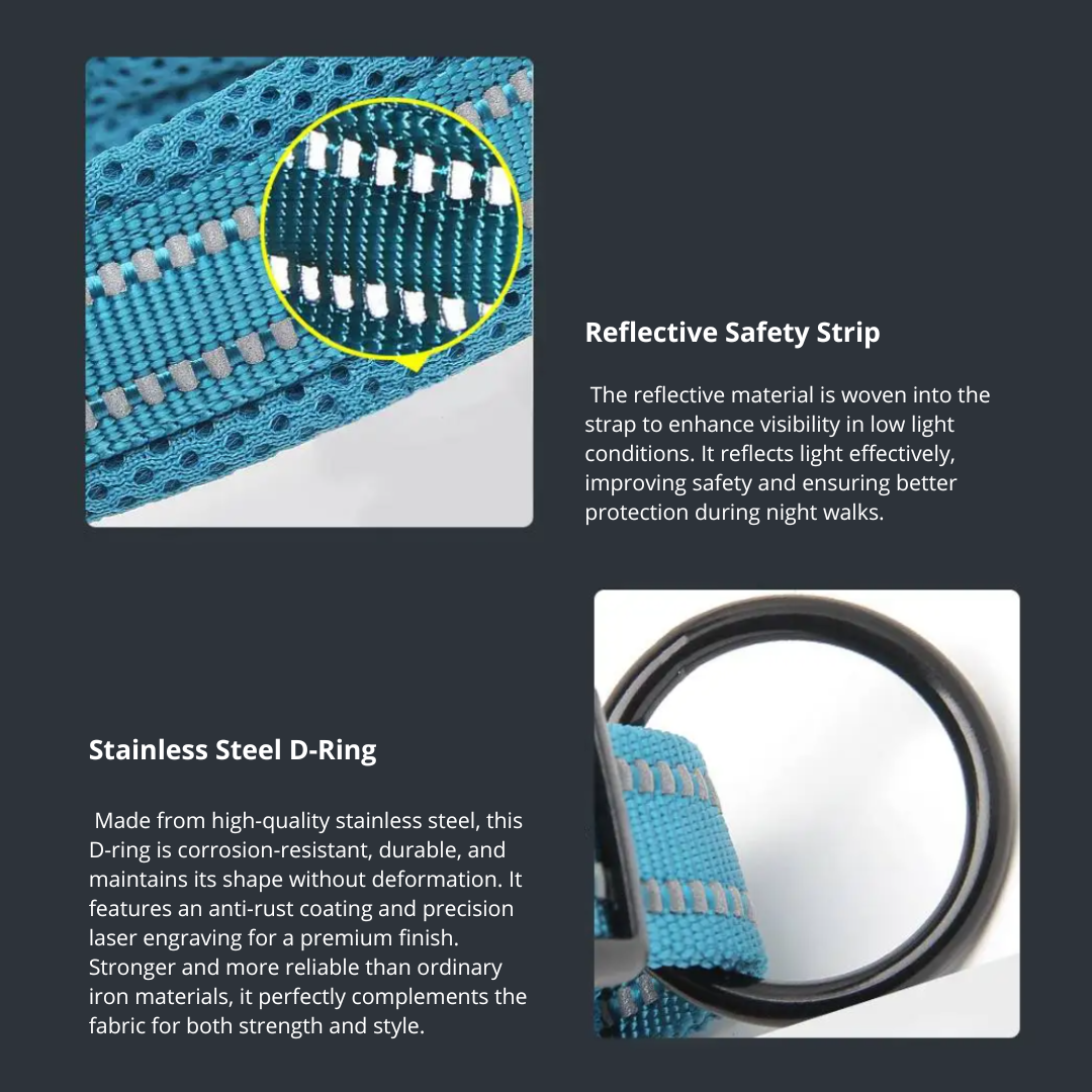 Truelove Lightweight Reflective Pet Collar