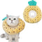Cat wearing a pineapple-shaped cone collar with another pineapple cone collar on a white background