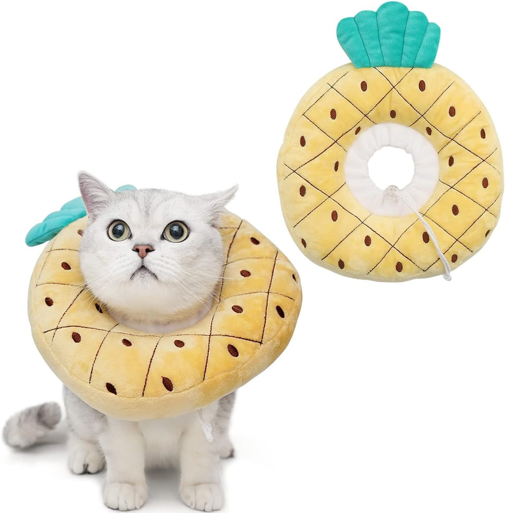 Cat wearing a pineapple-shaped cone collar with another pineapple cone collar on a white background