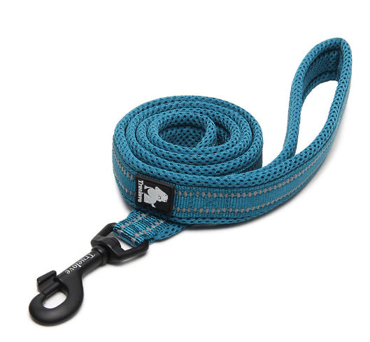 Truelove Mesh Padded Reflective Dog Leash