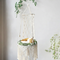 Macrame hanging chair with a cat on a white wall background
