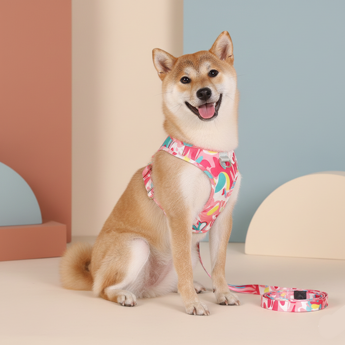 BORORO No-Pull Breathable Dog Harness & Leash Set – Adjustable Fit