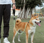 Person walking a Shiba Inu dog on a leash in a park