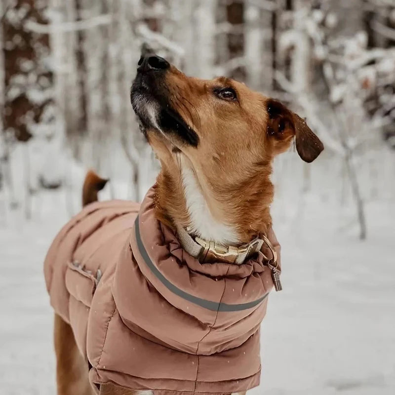 Thermal Dog Vest – Recycled Cotton Winter Coat for Small to Large Dogs