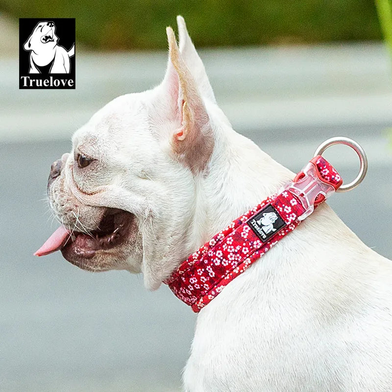White dog wearing a red floral collar with 'Truelove' logo, outdoors.